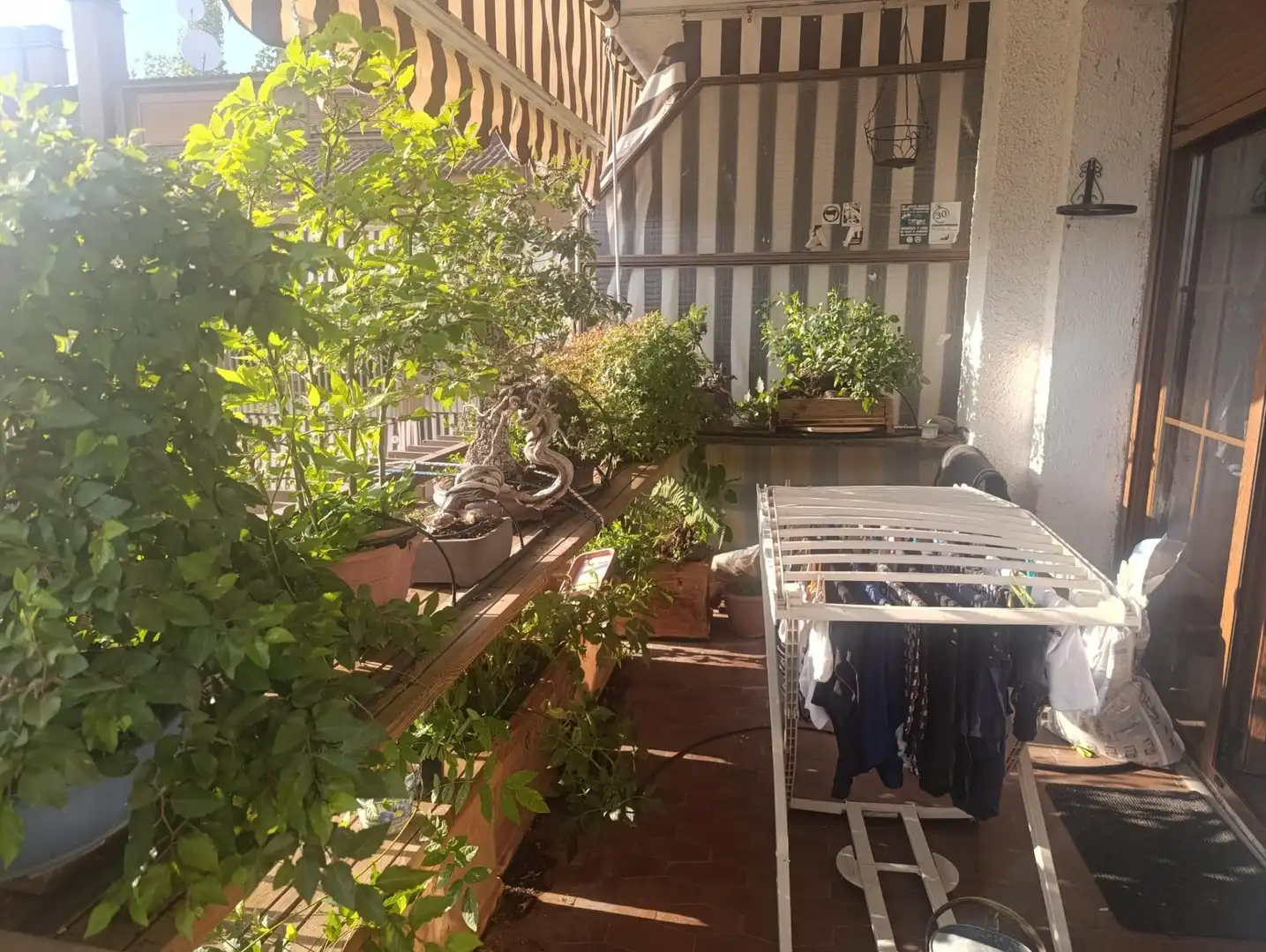 Terrassa de Pis en venda en Talamanca de Jarama amb Calefacció, Jardí privat i Terrassa