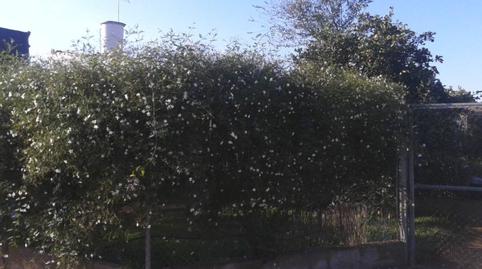 Foto 5 de Finca rústica en venda a Vista Azul - Consolación, Sevilla