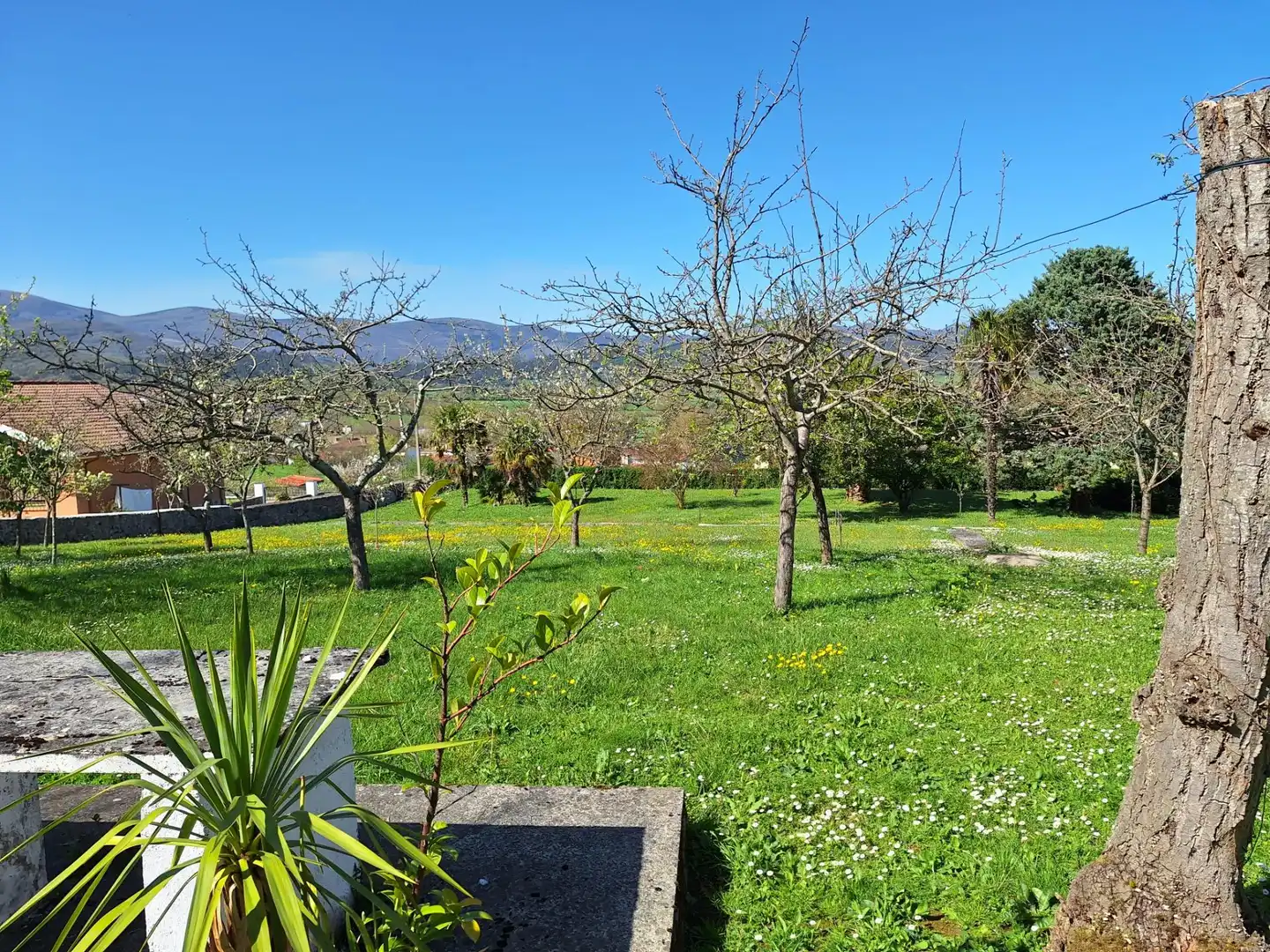 Casa o chalet en venta en Santa María, 6, Valle de Mena