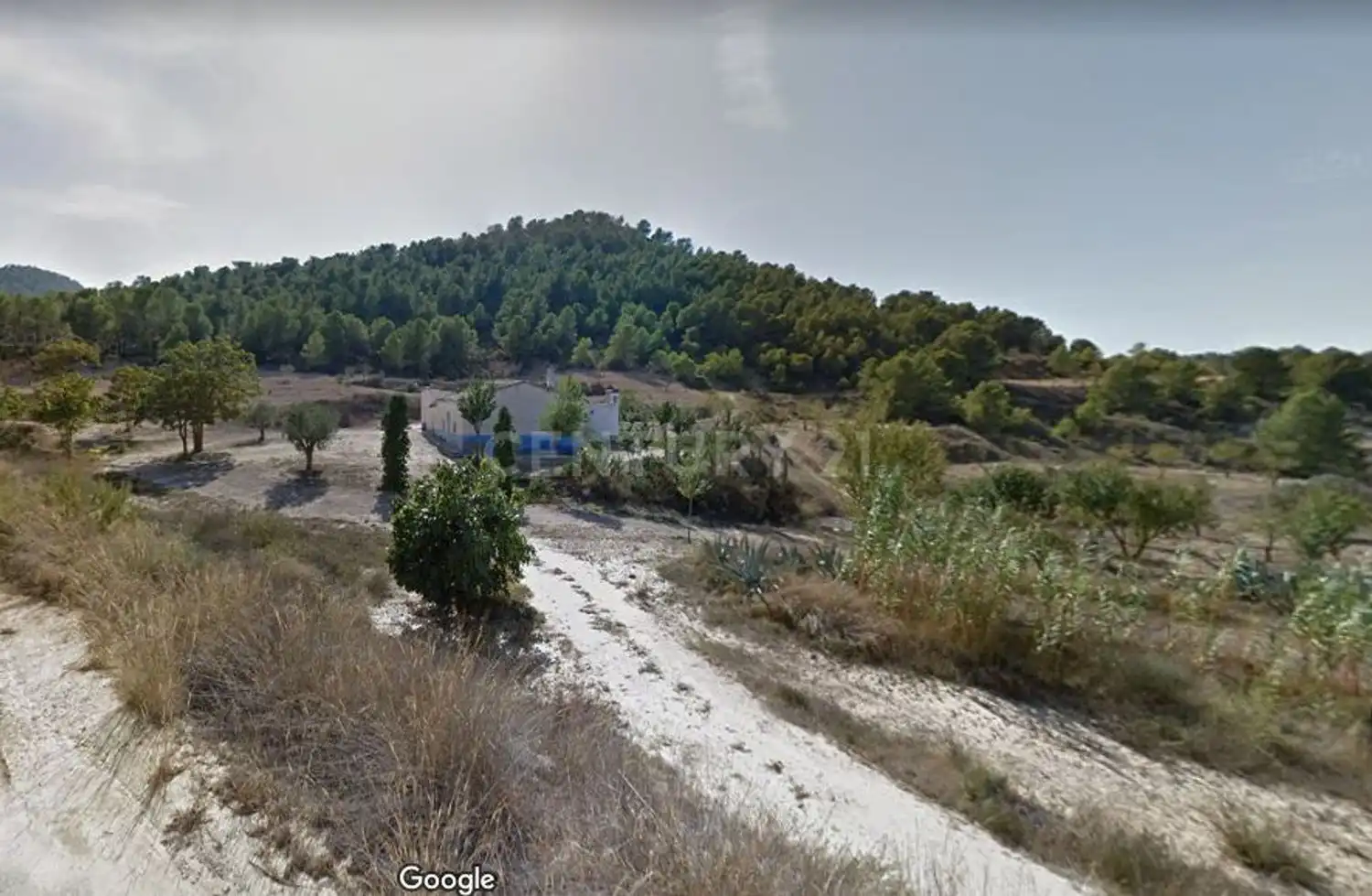 Terreno rústico en venta en Partida el Peralejo, imagen 3