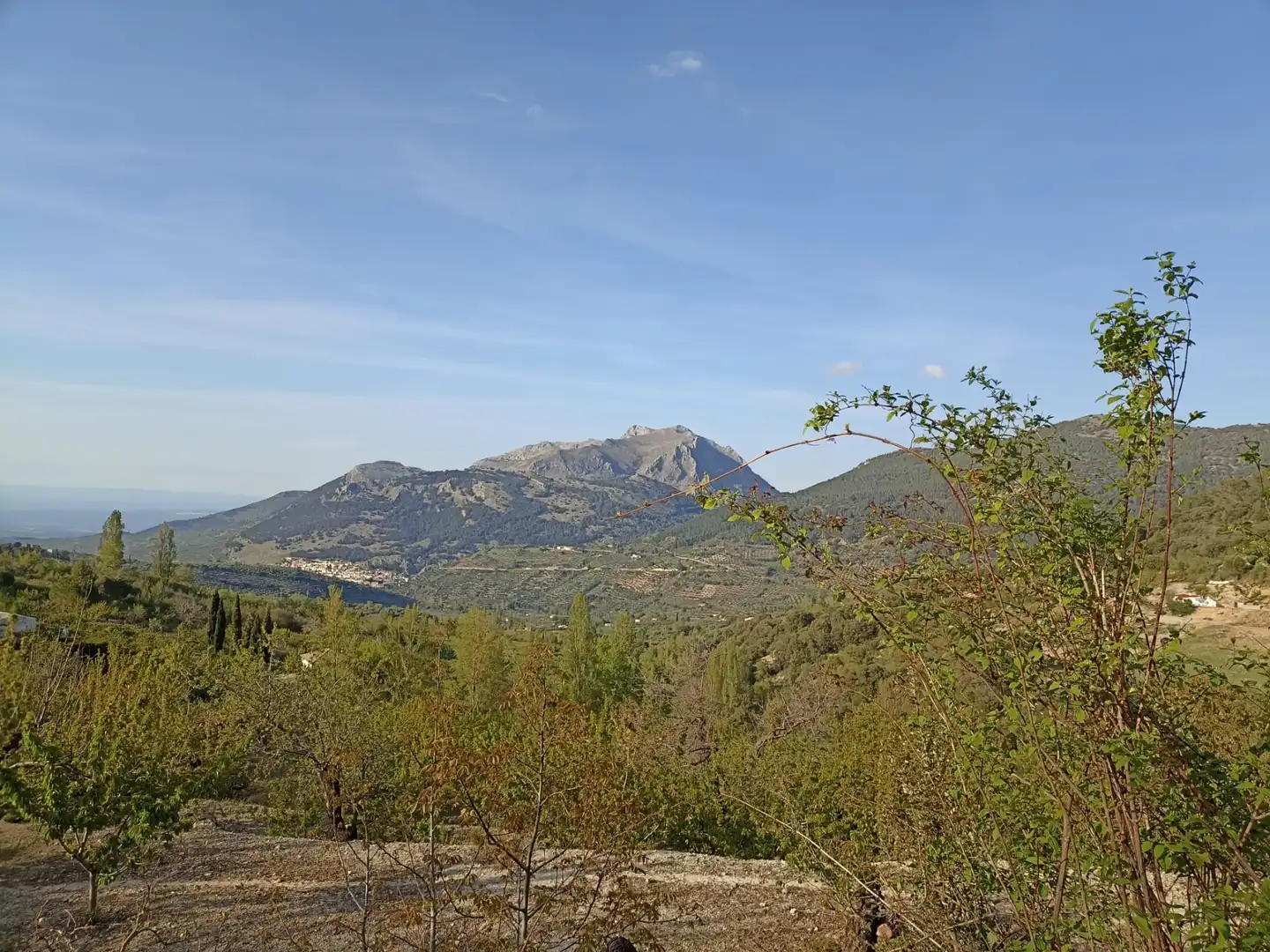 Land for sale in Torres