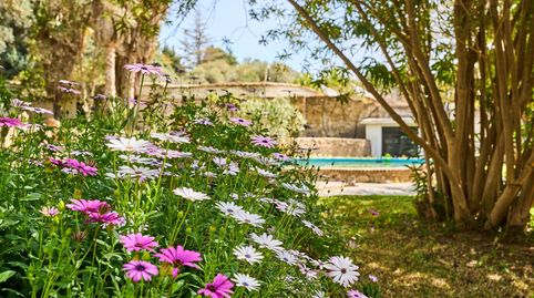 Photo 5 of Country homes for sale in Diseminados, Órgiva, Granada