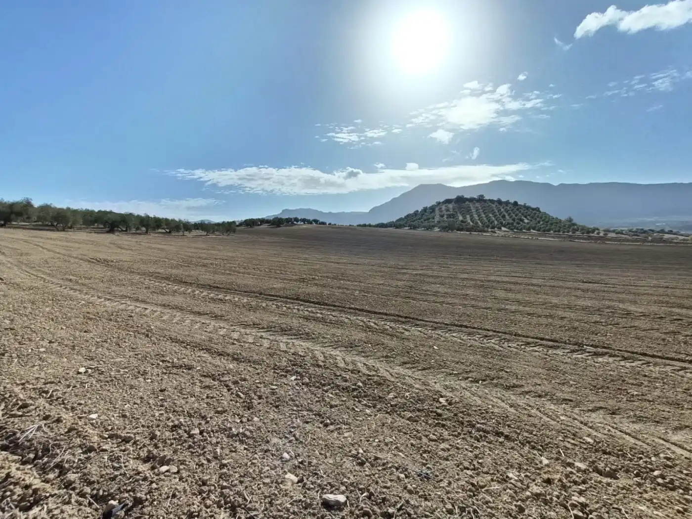 Terreni e lotti in vendita a Bobadilla - Bobadilla Estación - La Joya, imagen 7