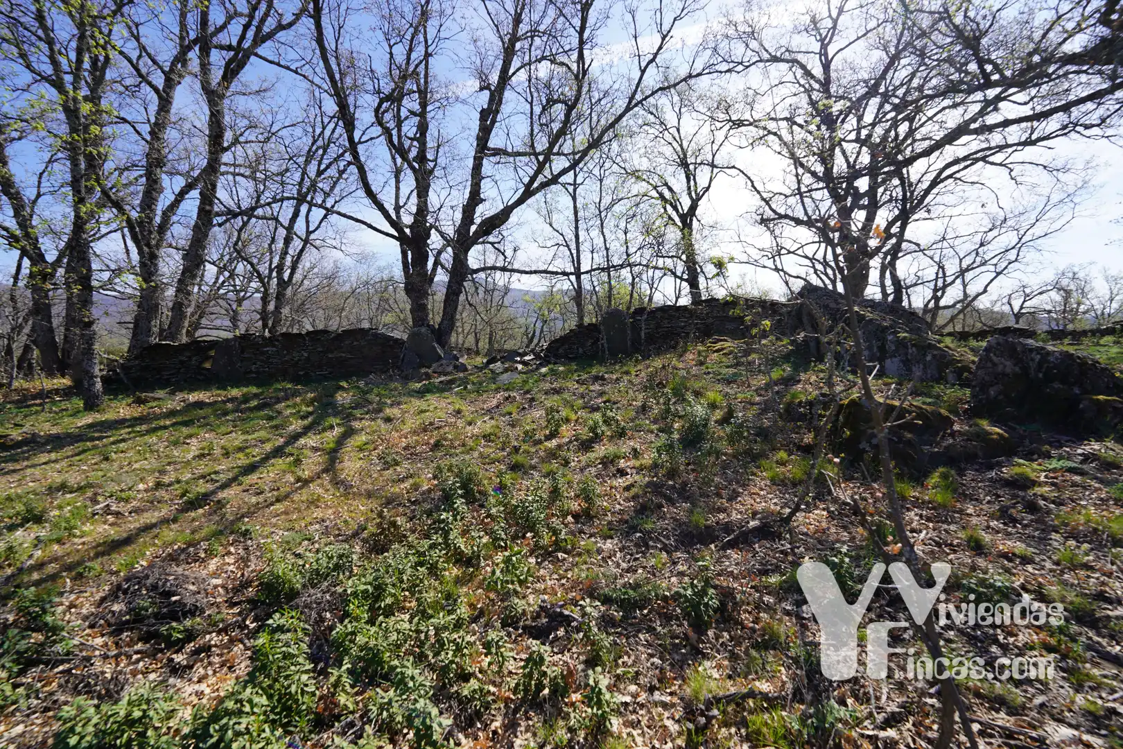 Terreno rústico en venta en Campillo de Ranas, imagen 12