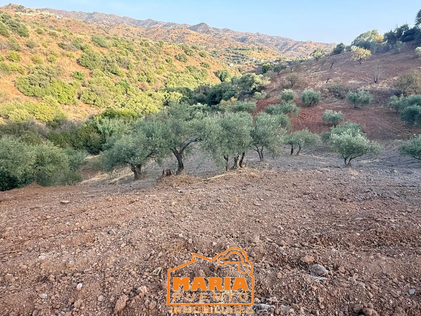 Terreno rustico in vendita a Almogía, imagen 5