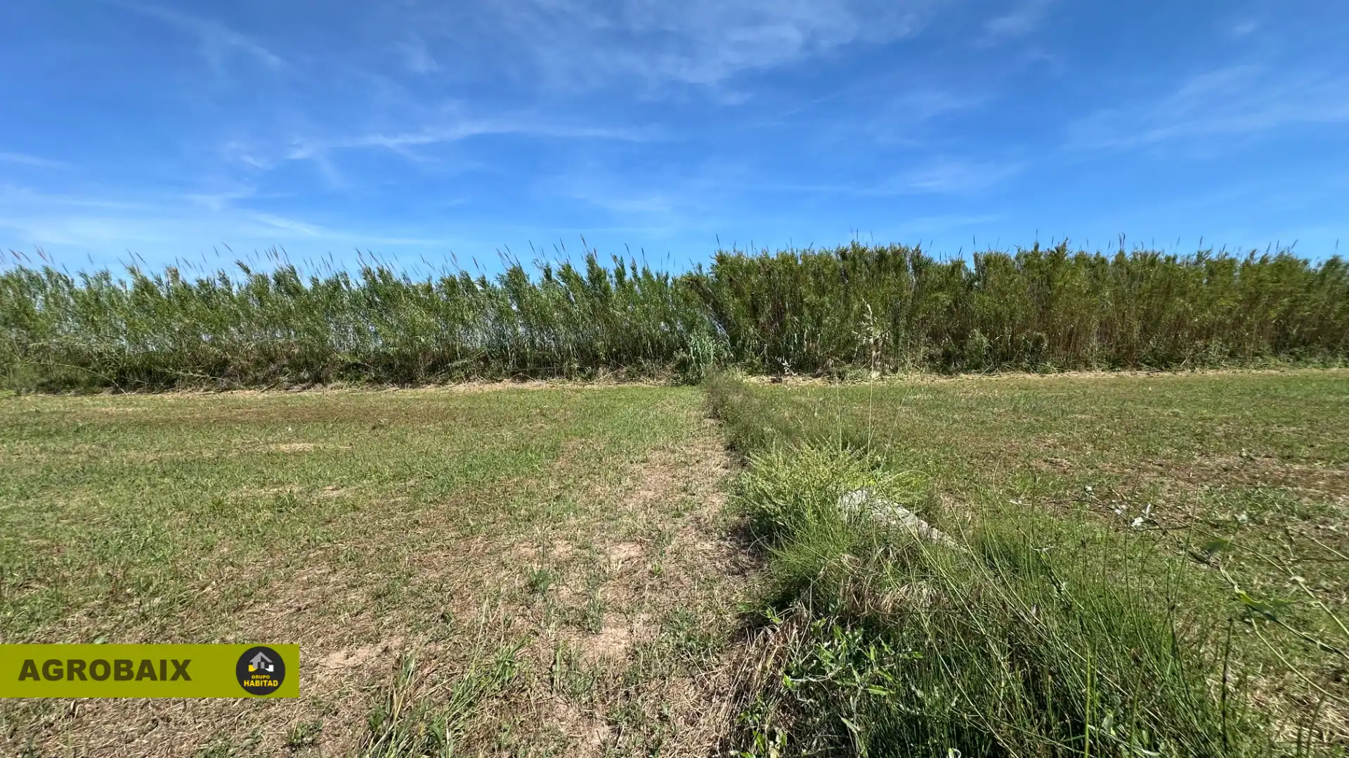 Land for sale in Sant Boi de Llobregat
