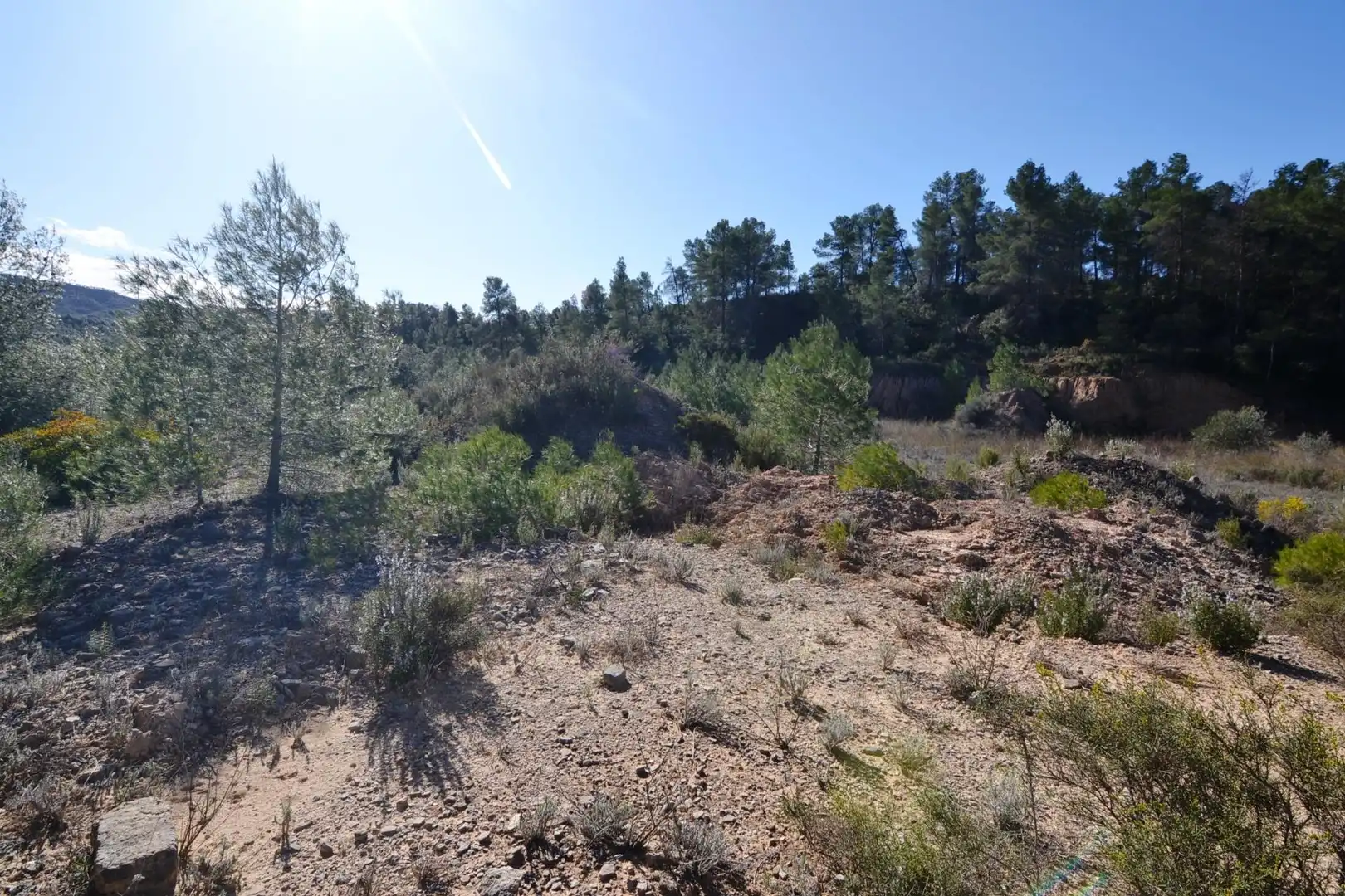 Rural land for sale in Ascó, imagen 22