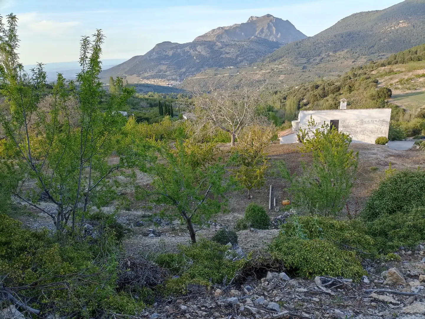 Land for sale in Torres