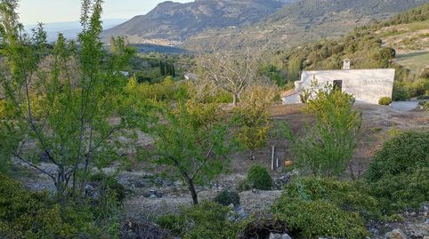 Foto 3 von Grundstücke zum Verkauf in Diseminado Diseminados, Km 2., Torres, Jaén