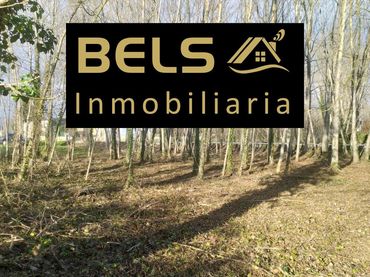 Terreni e lotti in vendita a Flores de Sil - La Placa