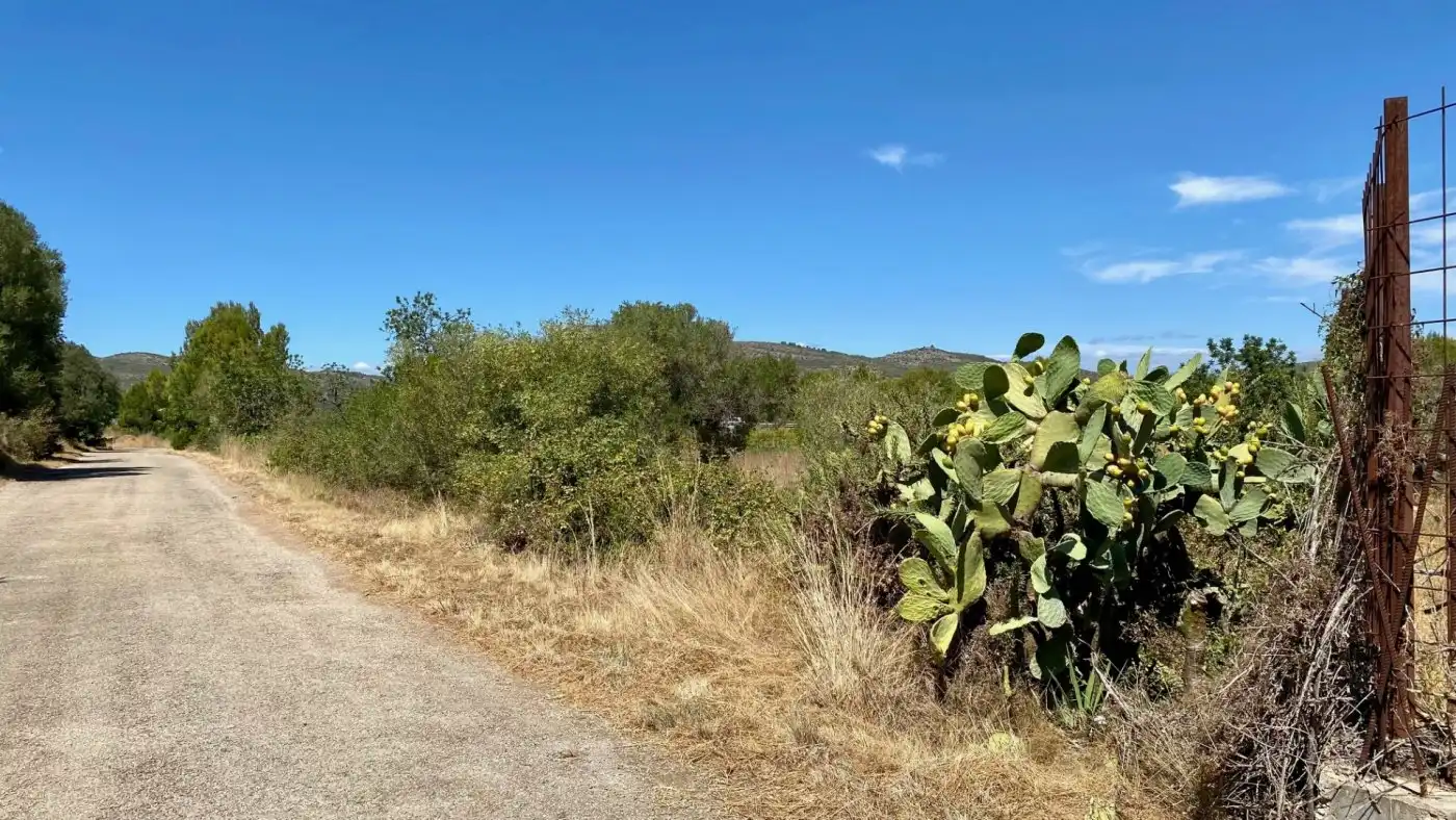 Terreno residencial en venta en Camino BARRANC DE MOLES 61, imagen 4