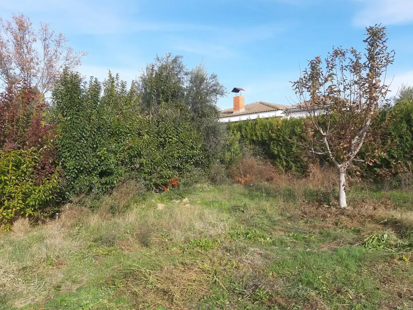 Residencial en venta en Alguaire