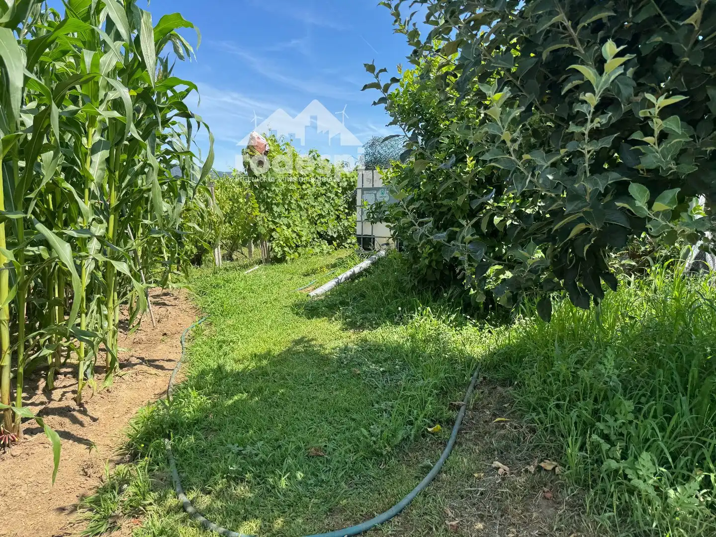 Casa o xalet en venda en Arbo amb Moblat