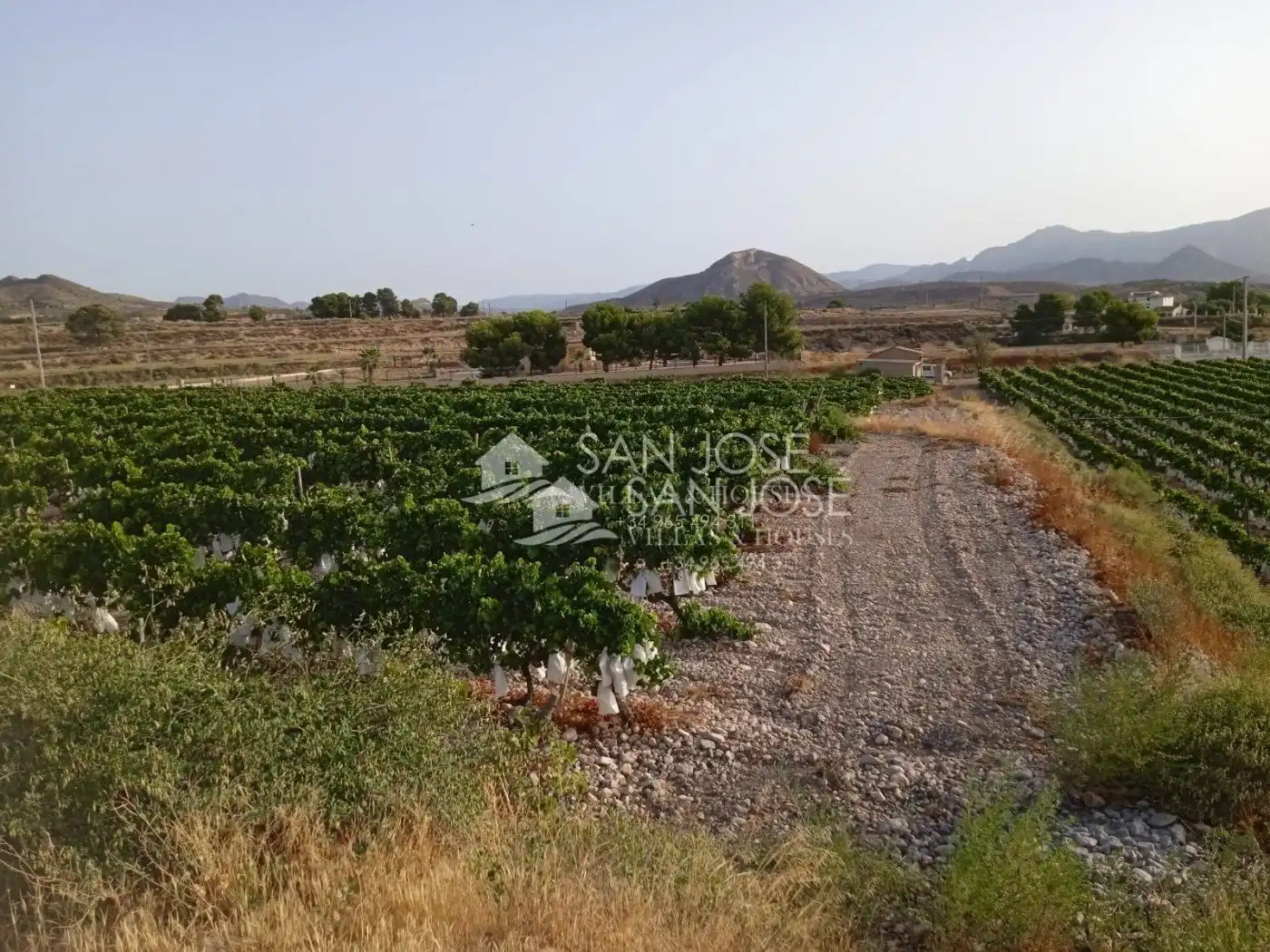 Rural land for sale in Novelda, imagen 6