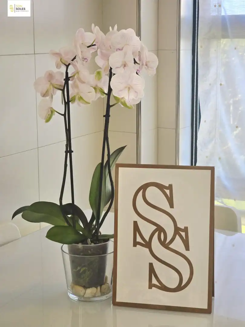 Casa o chalet en venta en Santa Cruz de Bezana con Calefacción, Jardín privado y Terraza