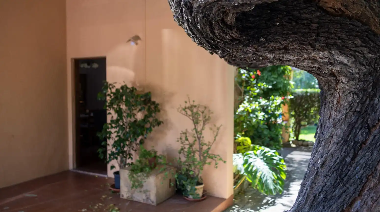 Casa o xalet en venda en Pollença amb Aire condicionat, Terrassa i Traster