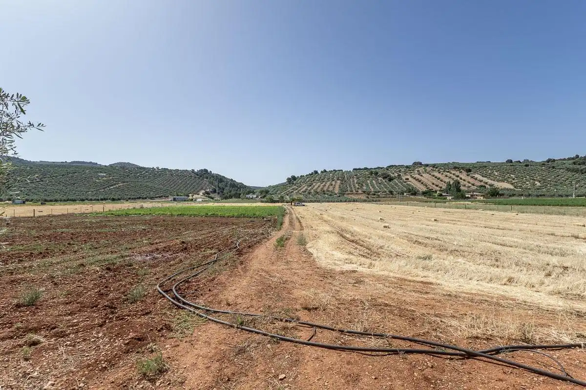 Land for sale in Montefrío
