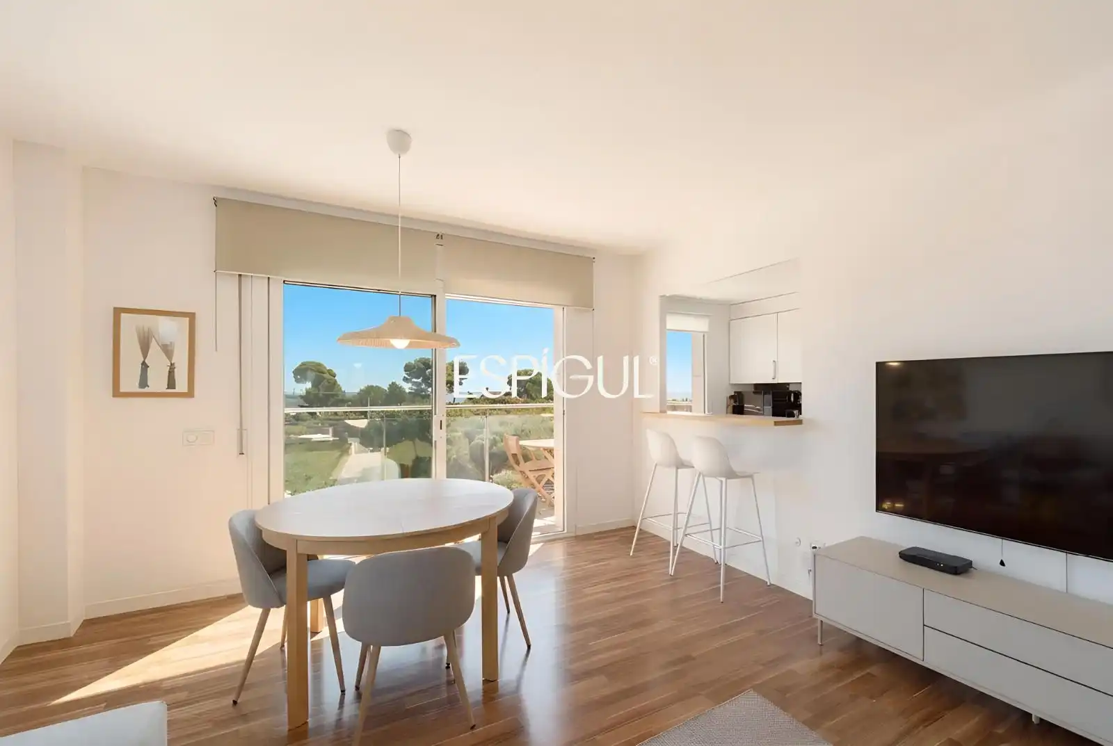 Living room of Flat for sale in Sant Andreu de Llavaneres  with Air Conditioner, Heating and Parquet flooring