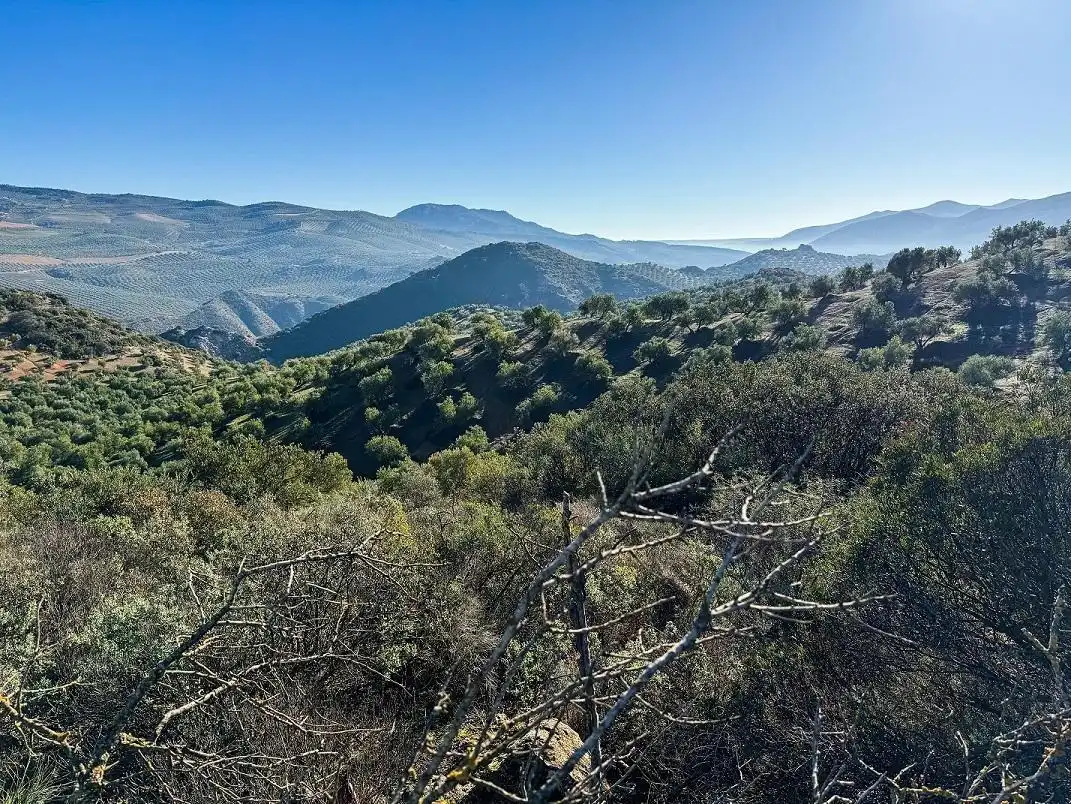 Terreny rústic en venda a CORTIJO DE MORA Y MARAÑON, imagen 3