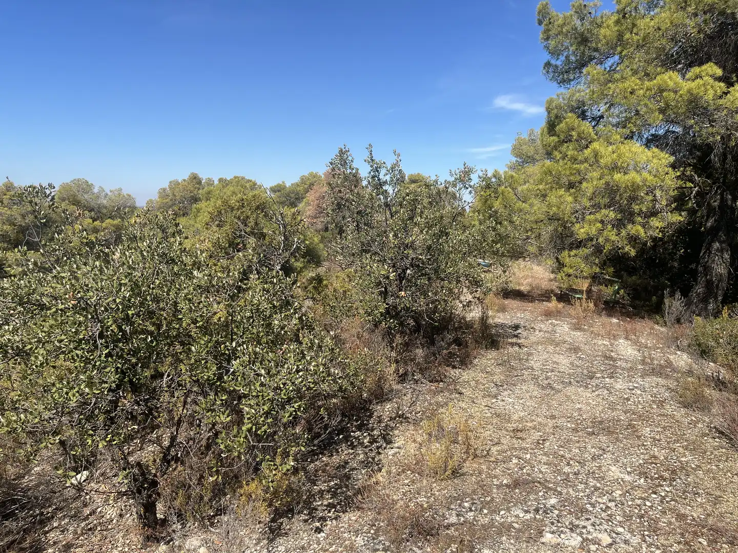 Finca rústica en venta en La Pobla de Cérvoles, Lleida
