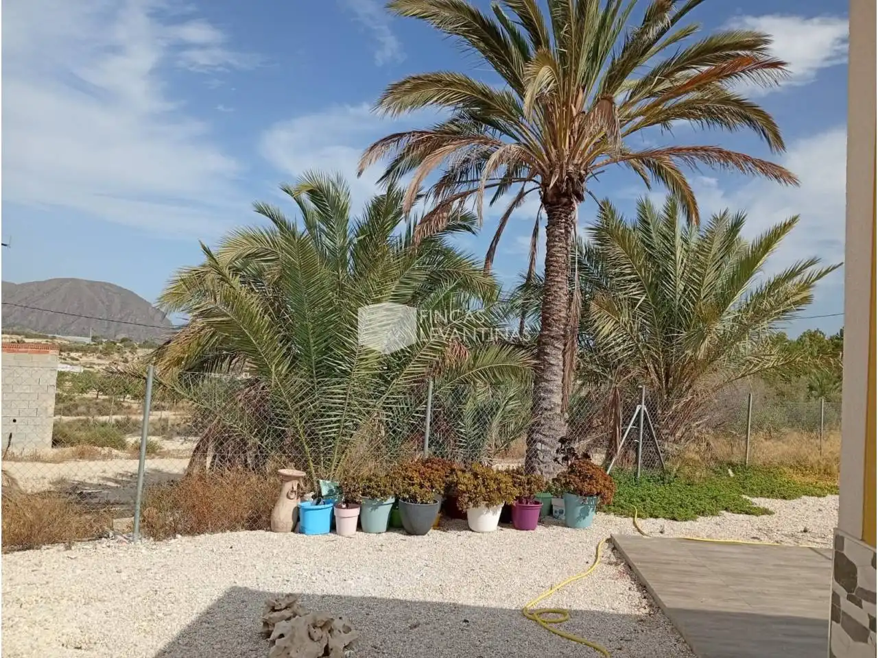 Casa o xalet en venda en Alicante / Alacant