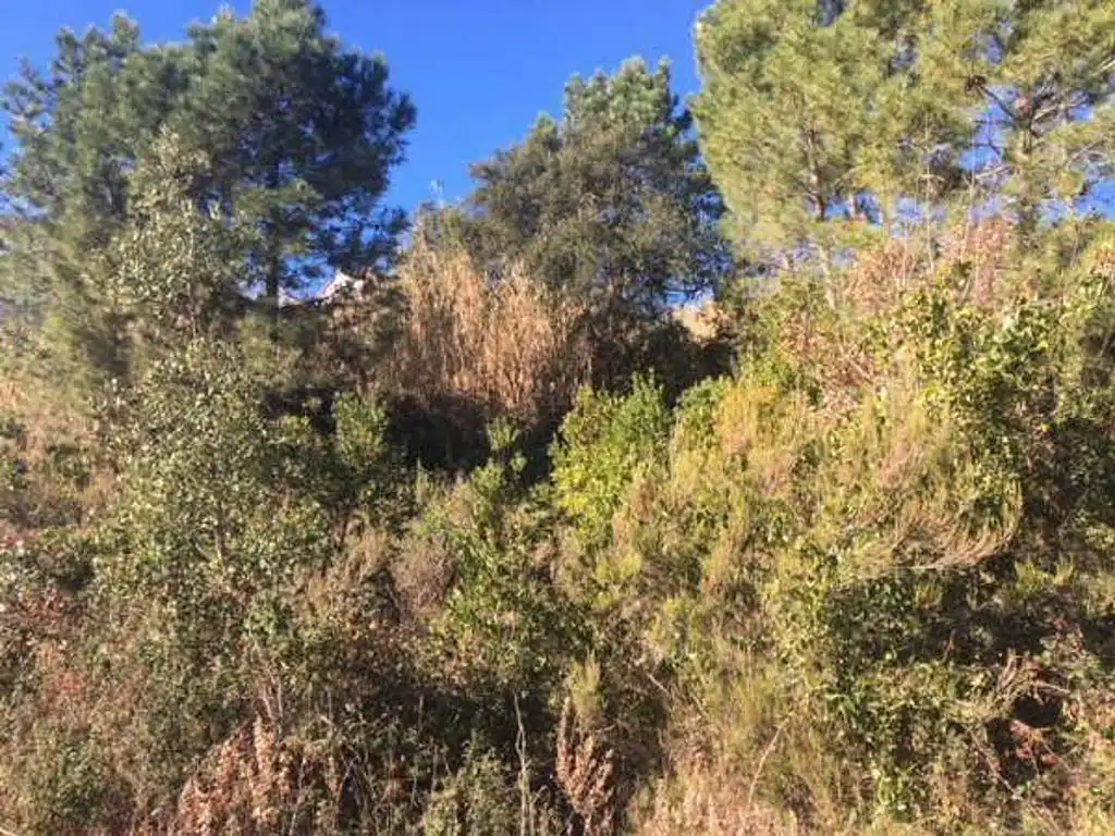 Terreno residencial en venta en Carrer Lliris
