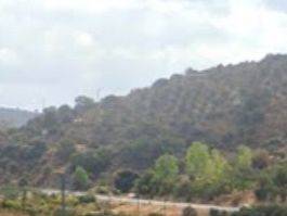 Terreno en Venta en Lugar Partido las Angosturas, 10 en Coín