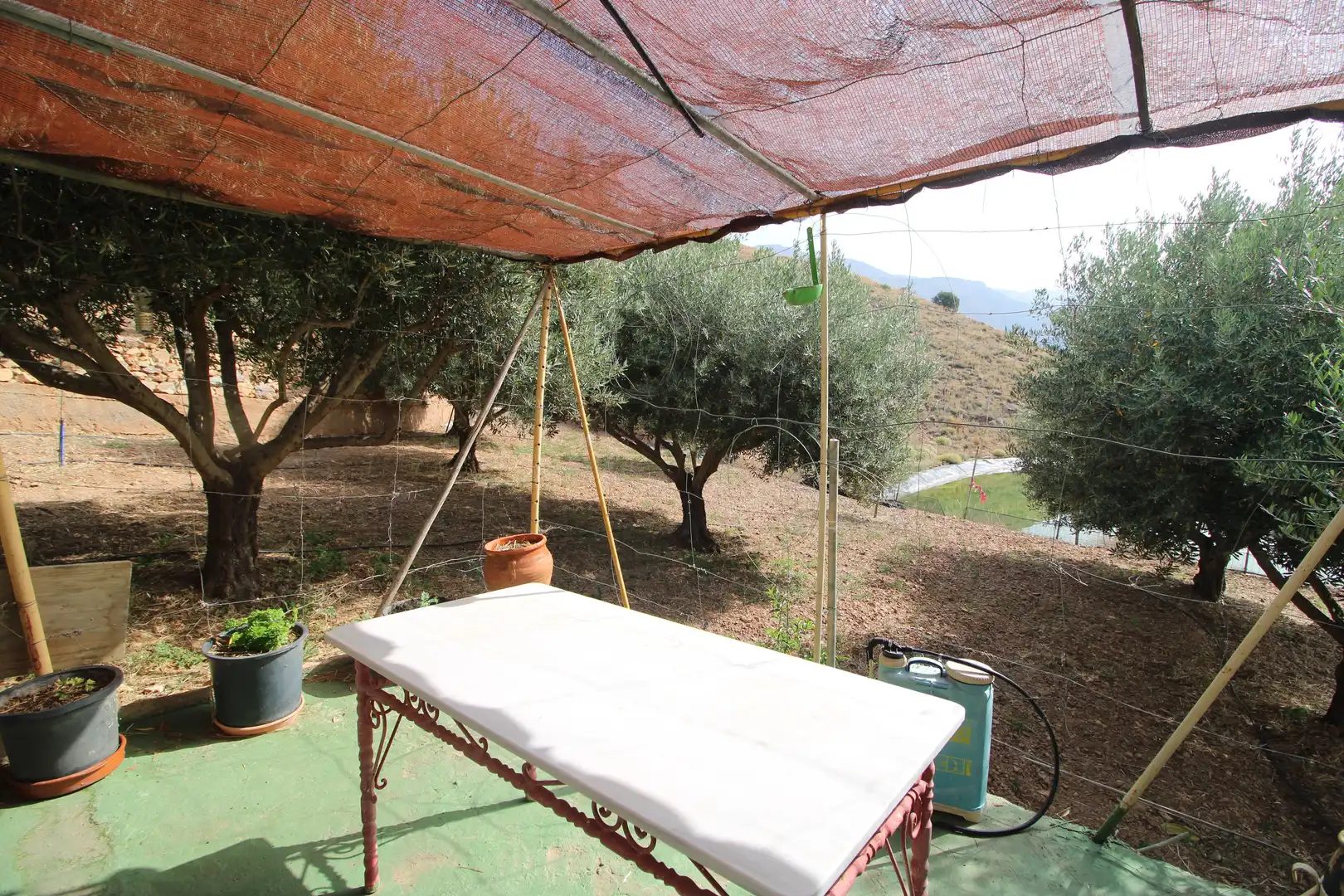 Jardí de Finca rústica en venda en Dalías