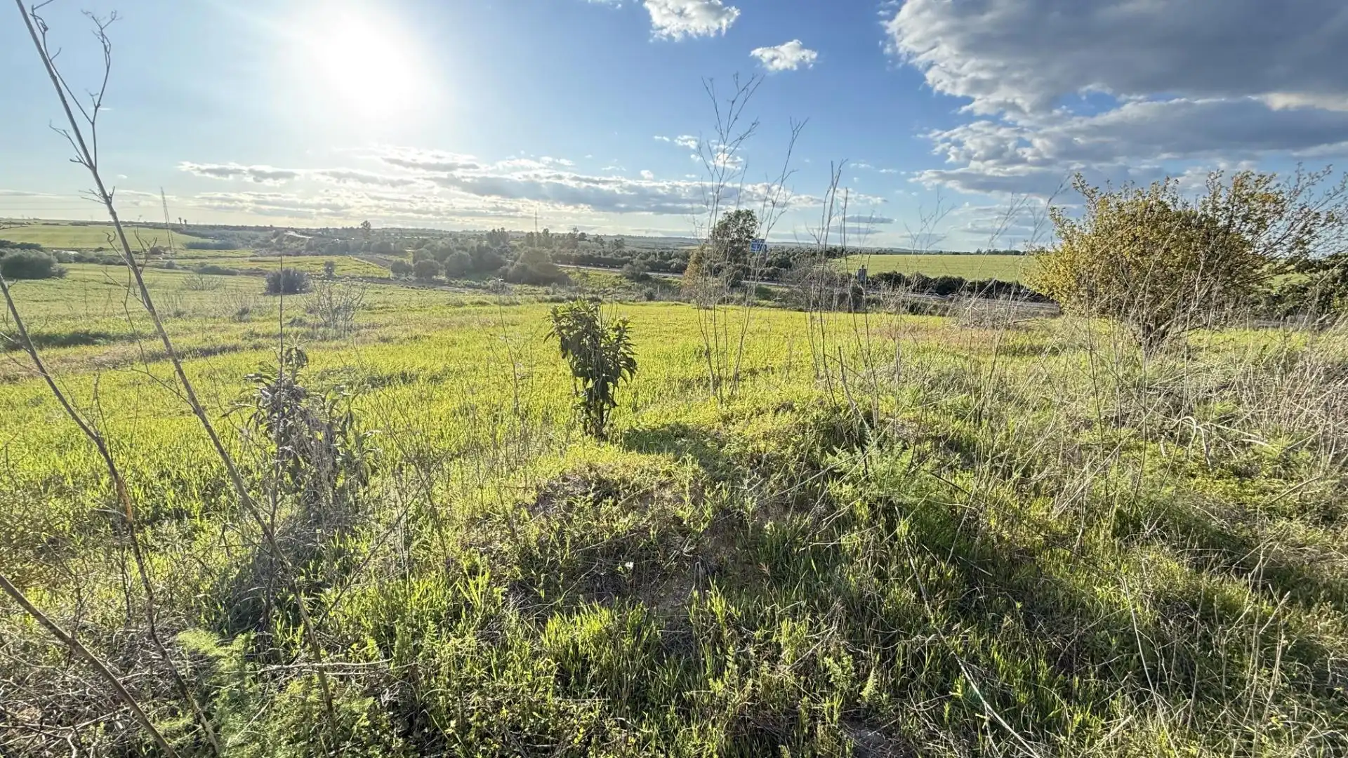 Terreno en venta en Gibraleón