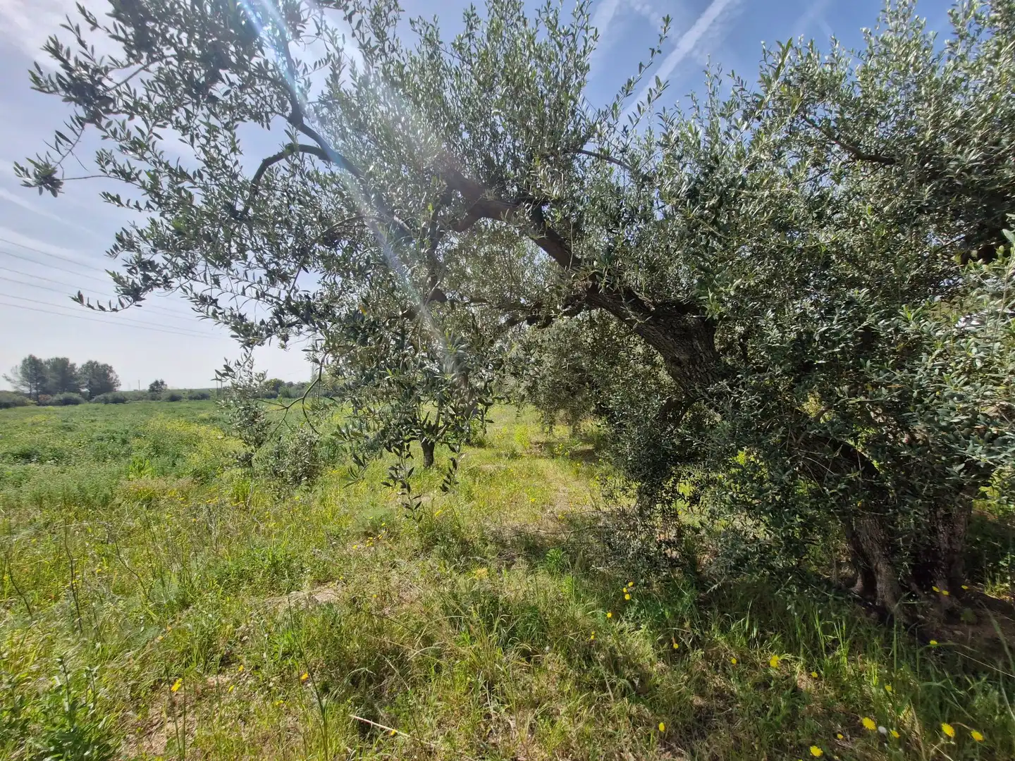 Terreno en venta en Alcover