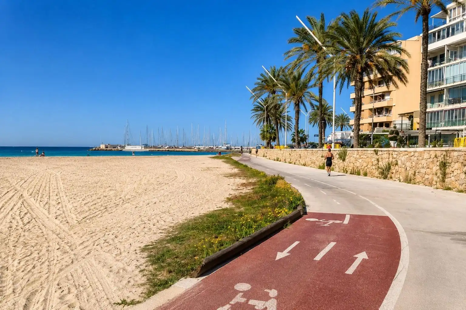 Vista exterior de Planta baixa en venda en  Palma de Mallorca amb Aire condicionat, Terrassa i Traster