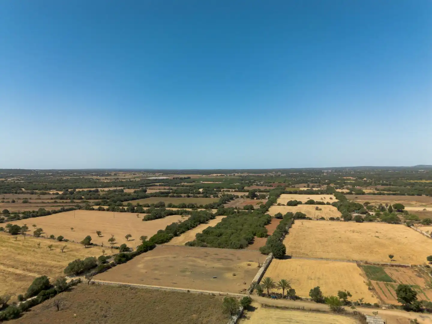 Finca rústica en venda en Felanitx amb Terrassa