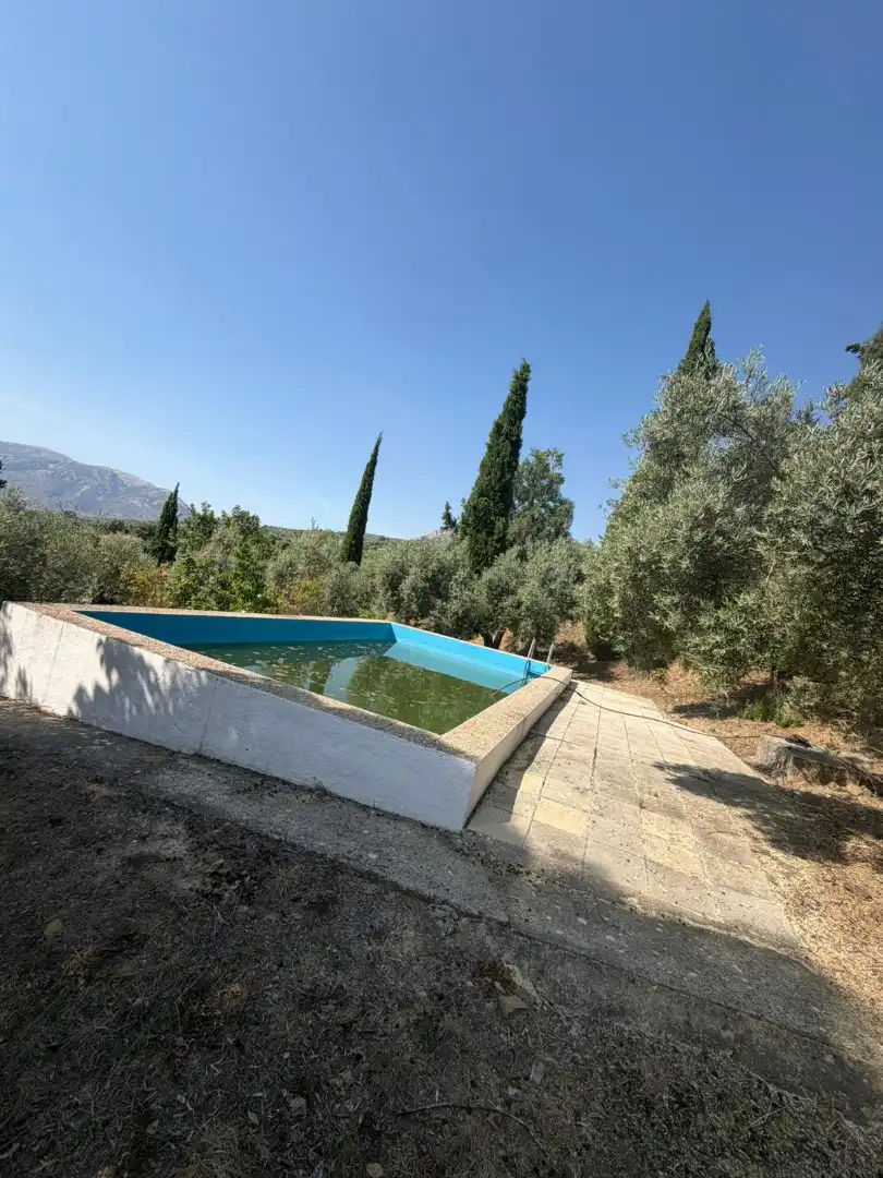 Piscina de Finca rústica en venta en Los Villares con Terraza, Trastero y Piscina
