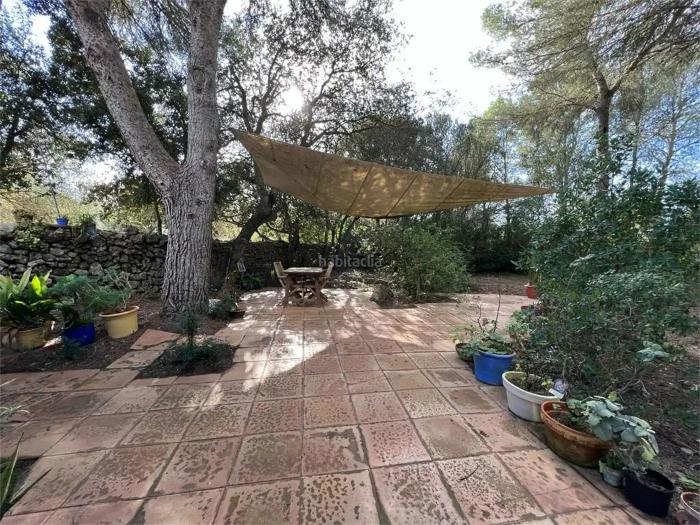 Maison à vendre à Diseminado Poligono 06 80, imagen 10