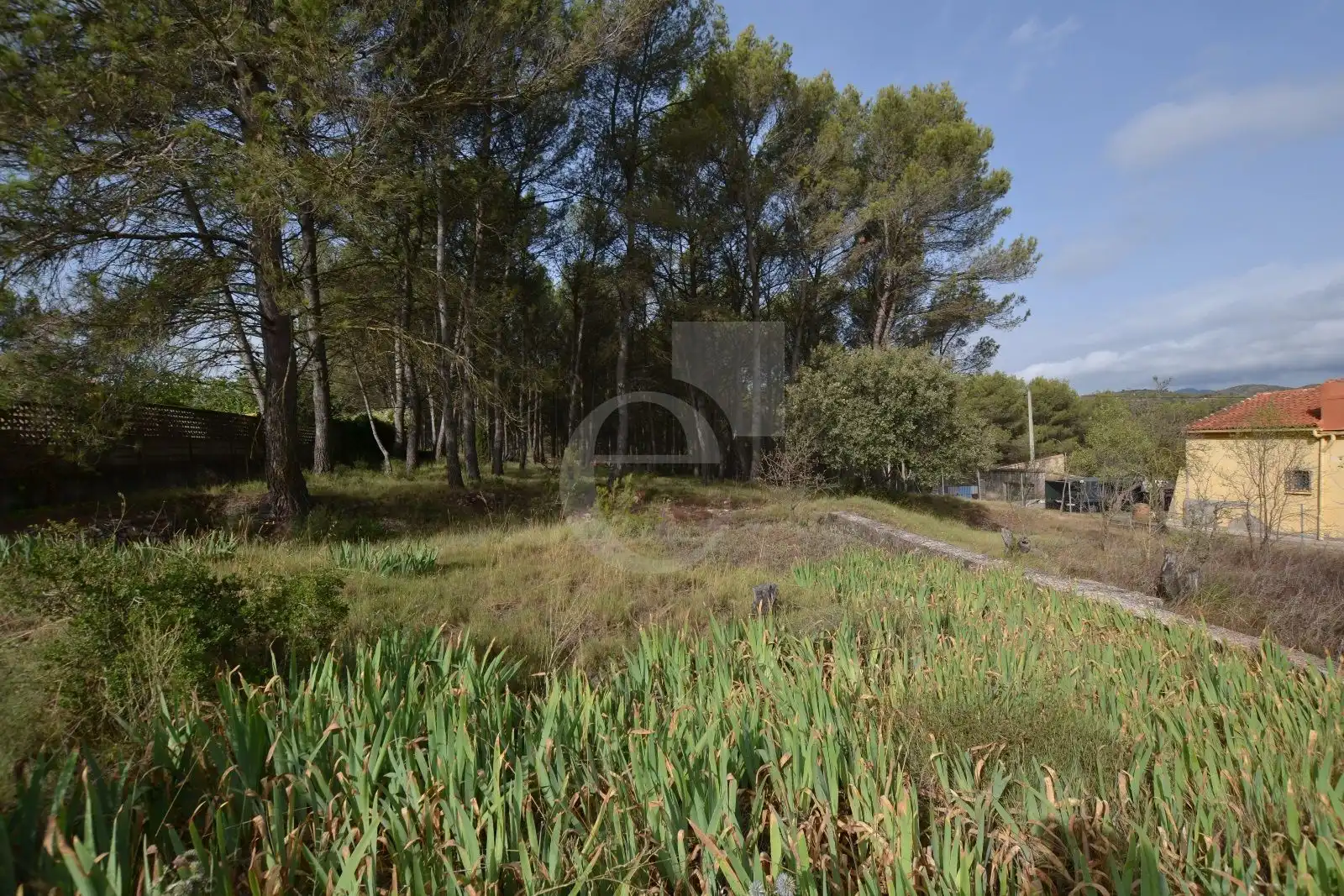 Rural land for sale in Venta Quemada, imagen 2