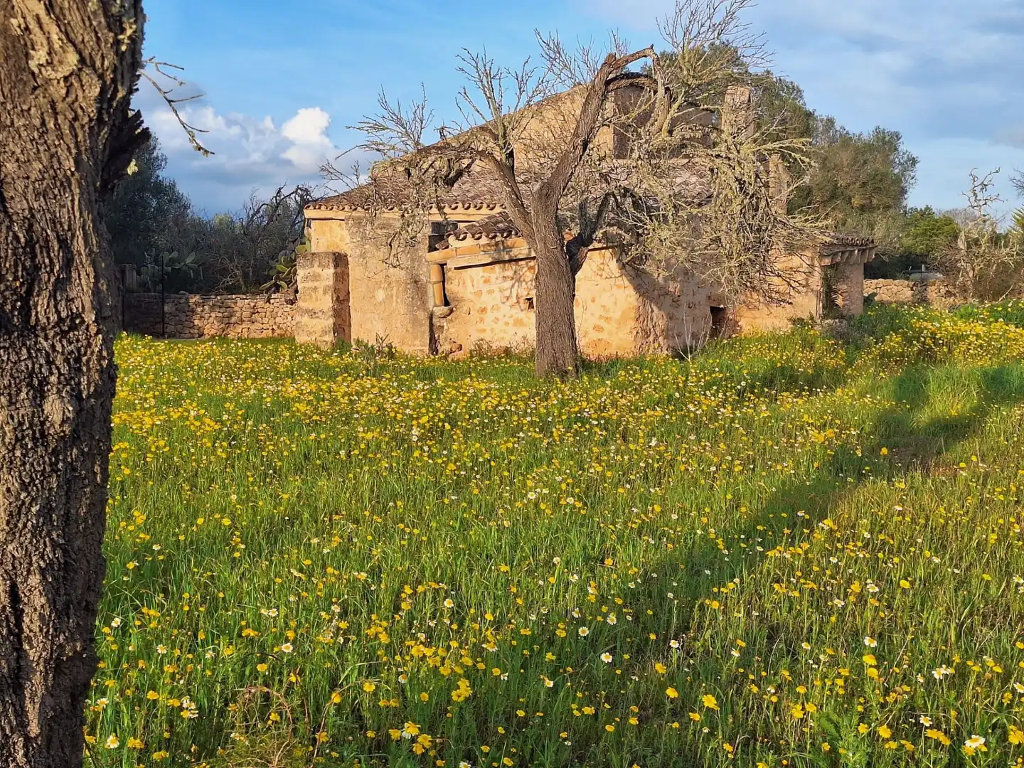 Finca rústica en venta en Algaida