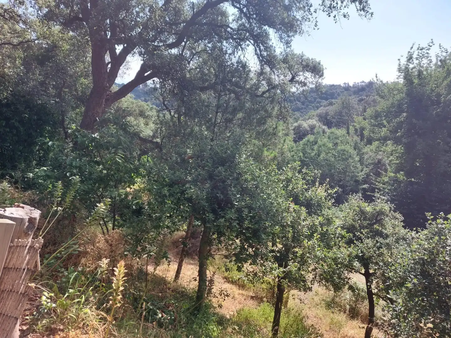 Terreno rustico in vendita a Tordera pueblo, imagen 27