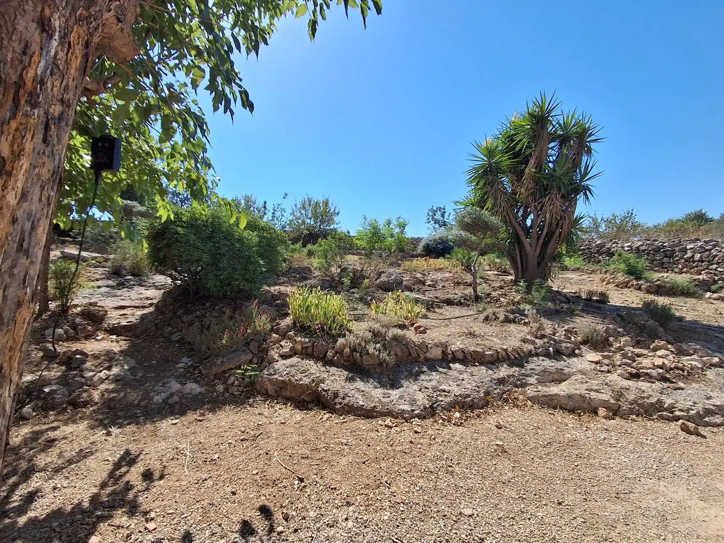 Houses for sale in Xerta