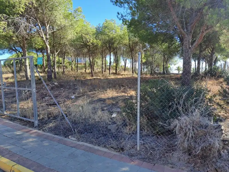 Residential land for sale in ACEBUCHE, imagen 6
