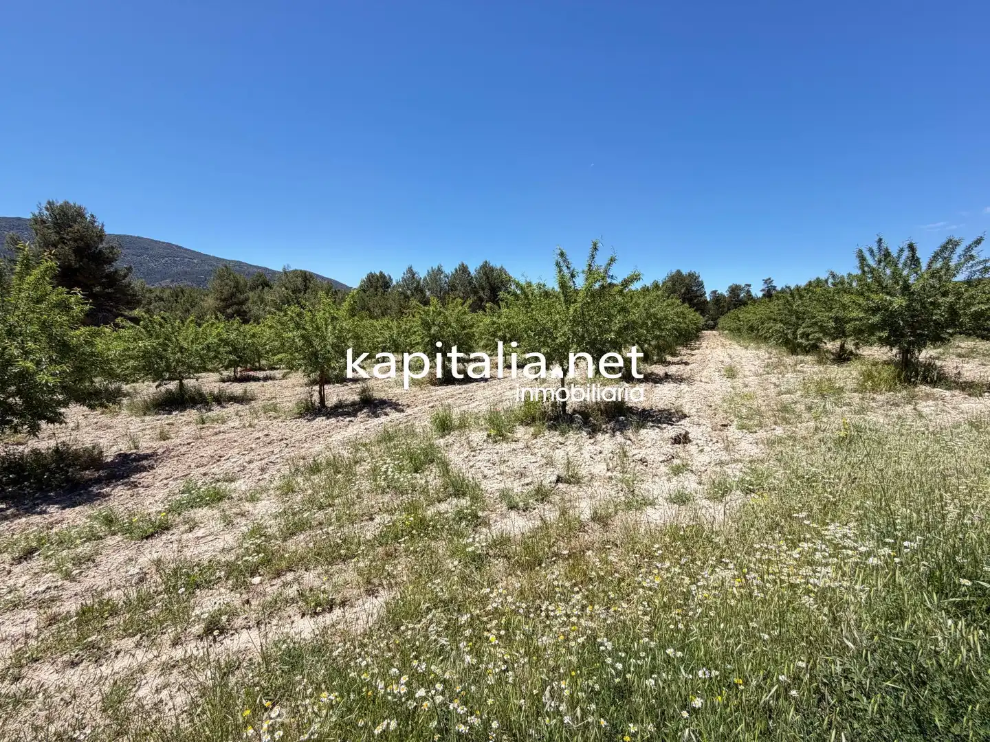 Chalet con terraza en venta en Batoi, imagen 34