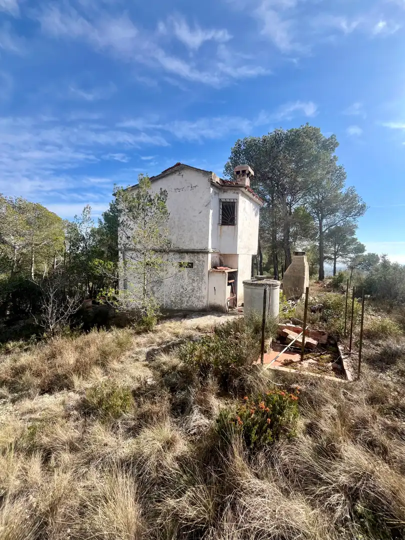 Exterior view of Houses for sale in Font-rubí
