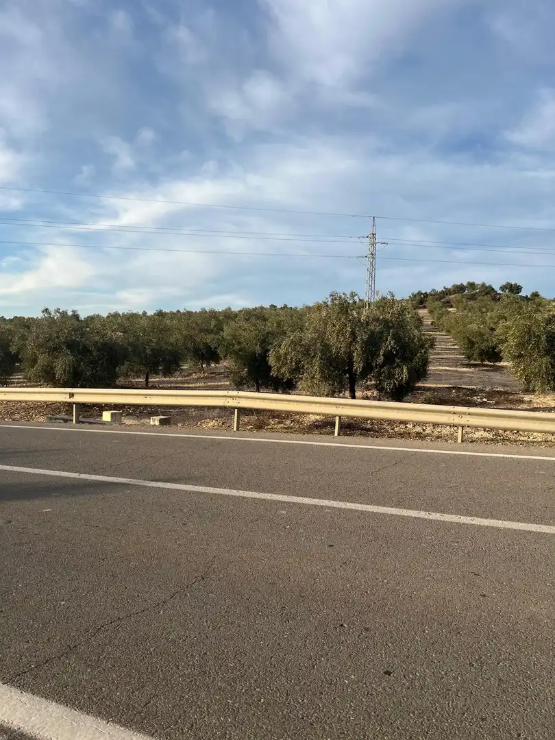 Terreny rústic en venda a Navas del Sepillar
