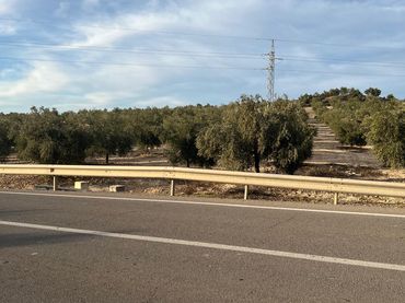 Terreno rustico in vendita a Navas del Sepillar