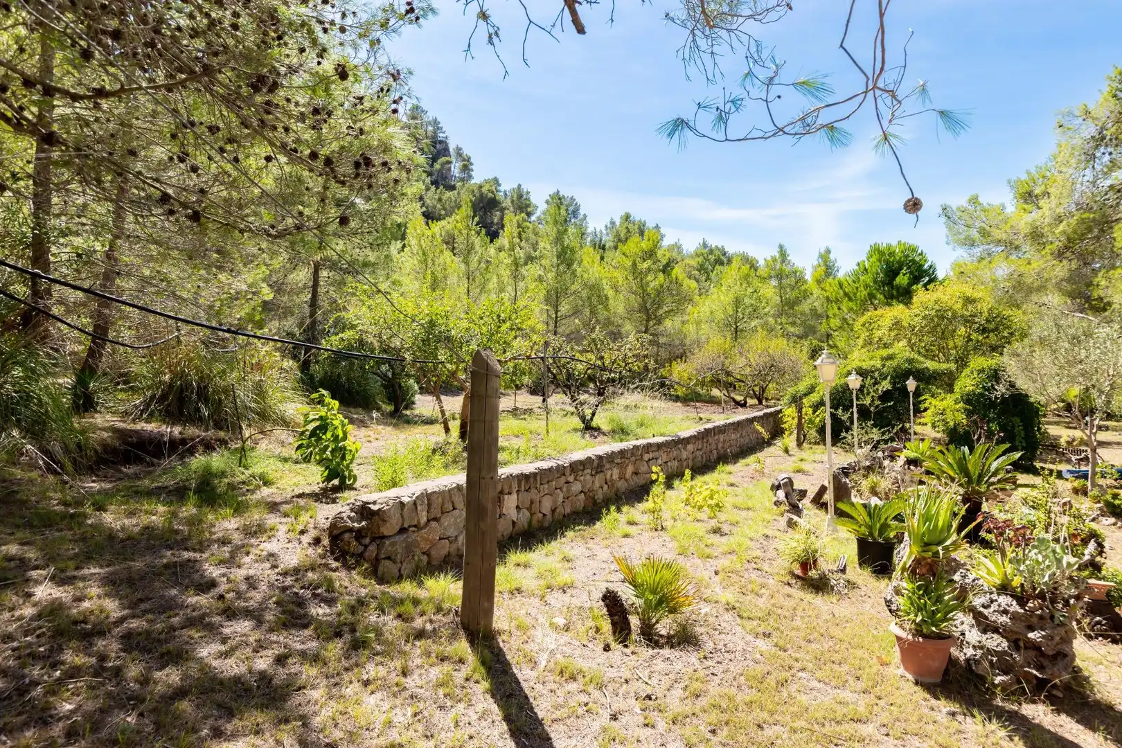 Casa rustica con piscina in vendita a Esporles, imagen 28