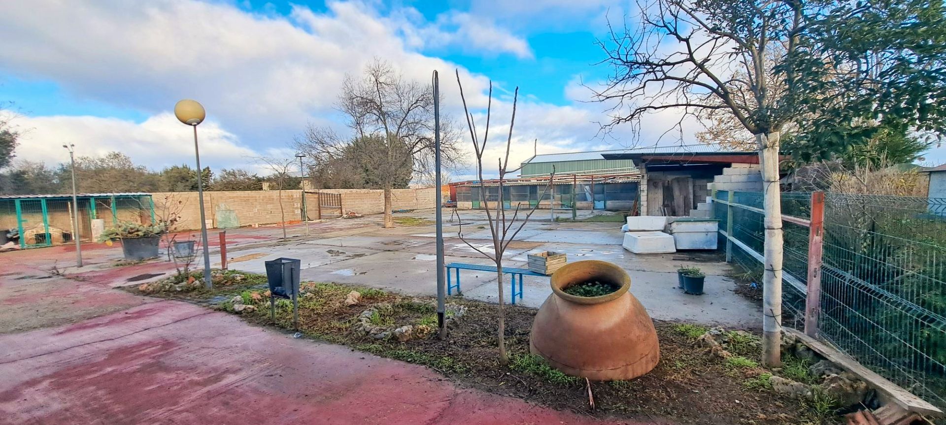 Land for sale in Fuente El Saz de Jarama
