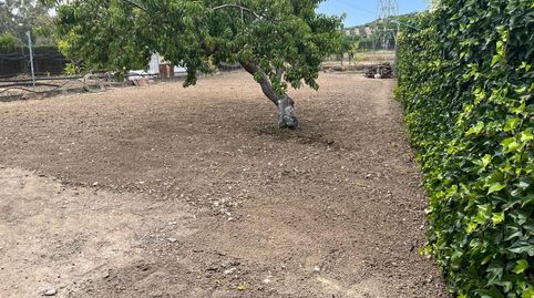 SE VENDE PARCELA CON CASA CON ESCRITURAS PROPIAS, imagen 5