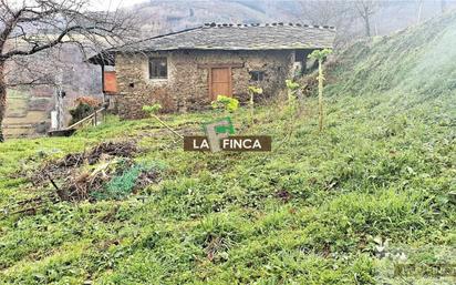 House or chalet for sale in Cangas del Narcea