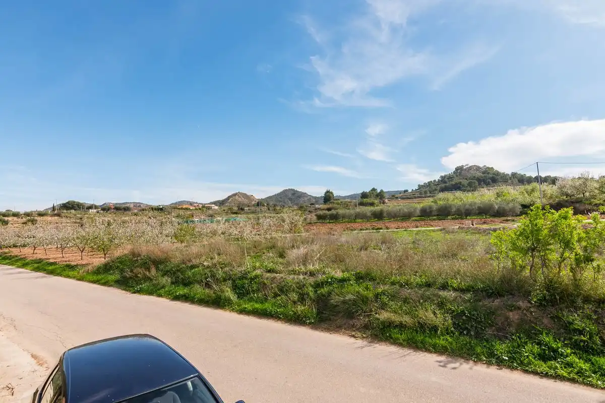Finca rústica en venta en Pliego
