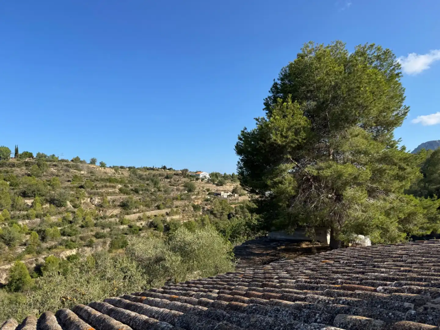 Vista exterior de Finca rústica en venda en Benissa