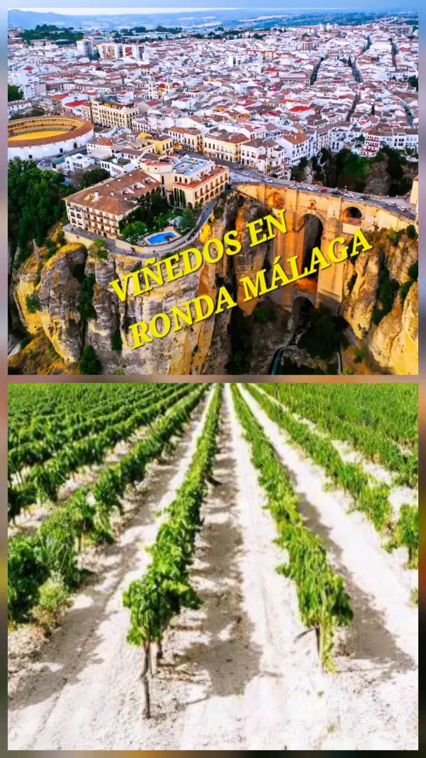Terreno en venta en Ronda